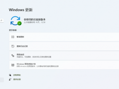 官方安装助手升级Windows11正式版方法